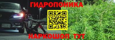 хмурый Бердск