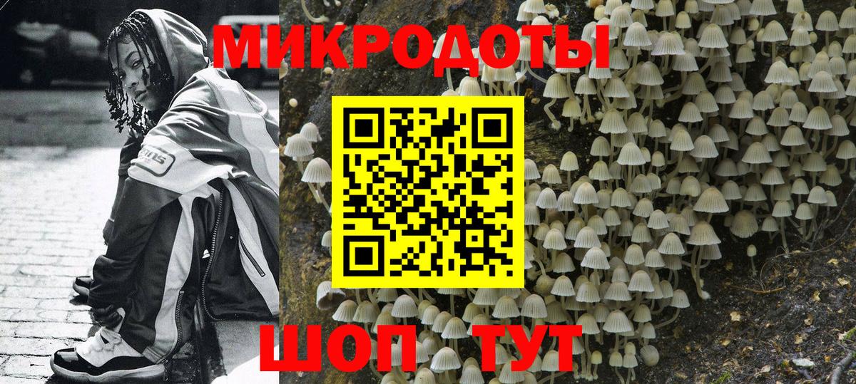 Галлюциногенные грибы Psilocybe  Вход с VPN  Белогорск 